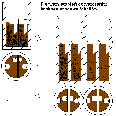 Kaskada osadowa fekaliw