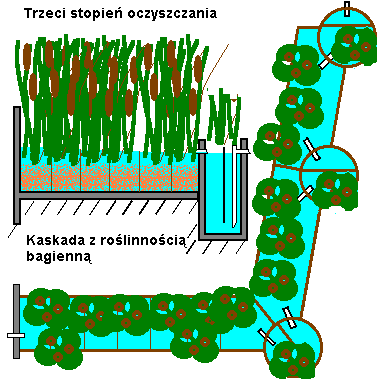 Kaskada z rolinnoci bagienn